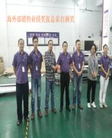 海外销售精英